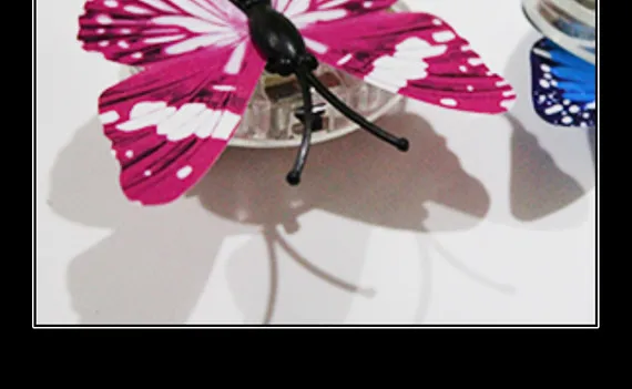 36f608e10fa2533f271bb9a737b9fdcf_TB2BxTonC0mpuFjSZPiXXbssVXa_!!2843904313_