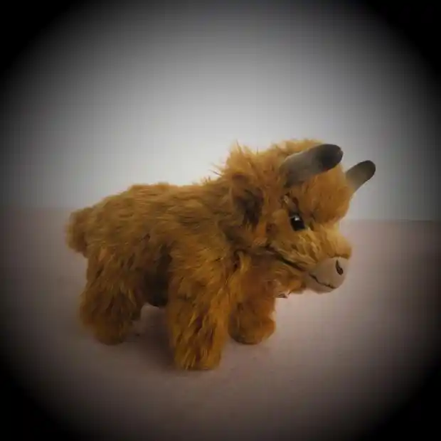 Original Scottish Bison Yak Long Haired Cow Cattle Simulation