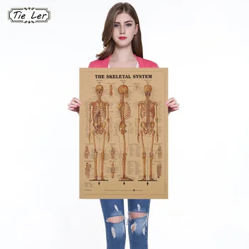 

The Skeleton of The Body Structure Nervous System Poster Bar Home Decor Retro Kraft Paper Painting 42x29cm Wall Sticker