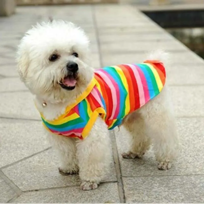 Собака Лето цвет жилет полосатый тонкий Одежда с принтом в виде собак зоотоваров Тедди