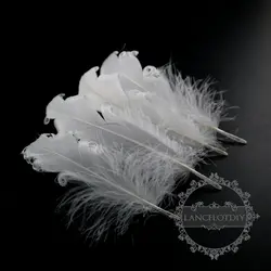 15-20 мм белая птица перо DIY ювелирных поставок выводы 1506010