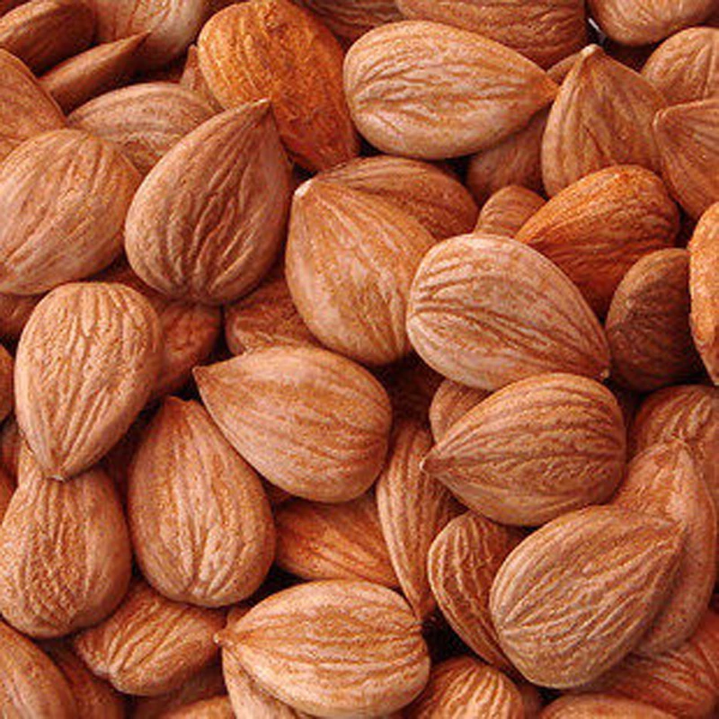 Online Buy Wholesale bitter almonds from China bitter almonds