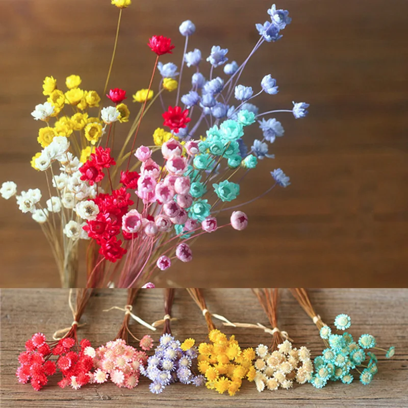 30 Pieces A Bunch Natural Dried Daisy Home Furnishing Decoration Little Flowers Flower Arrangement Art | Дом и сад