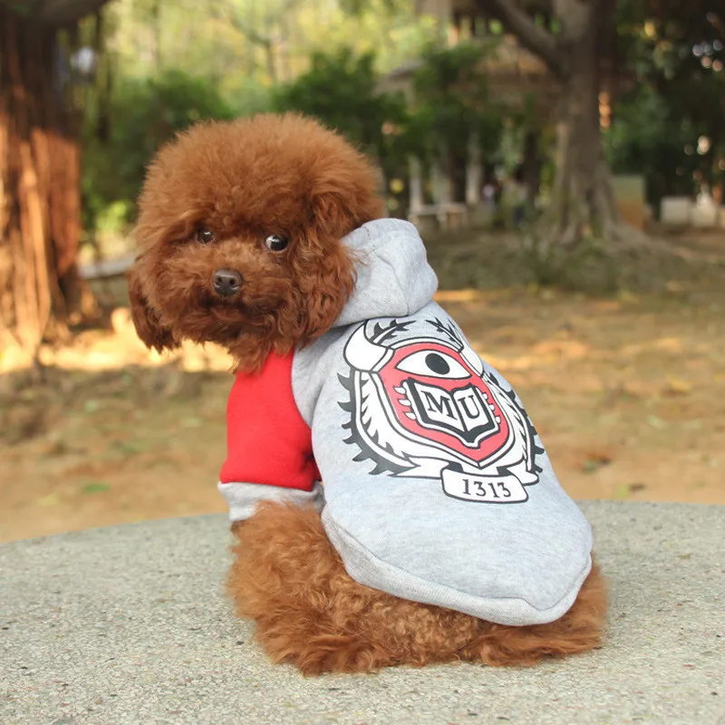 Одежда с капюшоном для собак маленький питомец кошка пальто куртка для маленьких футболка для собак чихуахуа Йоркская одежда теплая весенняя одежда для щенков