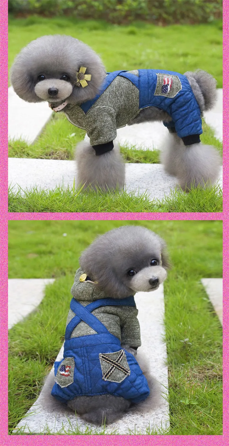  dog clothing 30