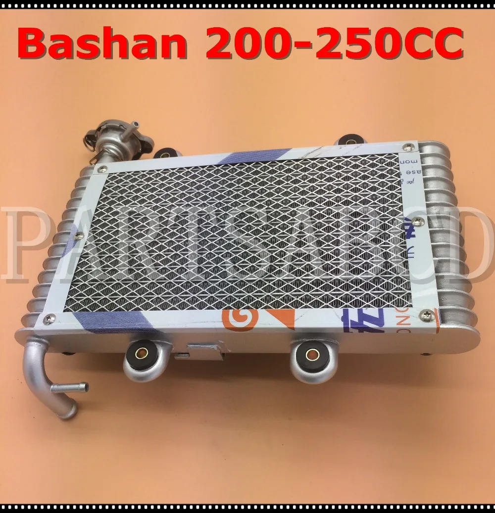 Bashan 200CC 250CC ATV Quad радиатор для Bashan 200-250CC ATV