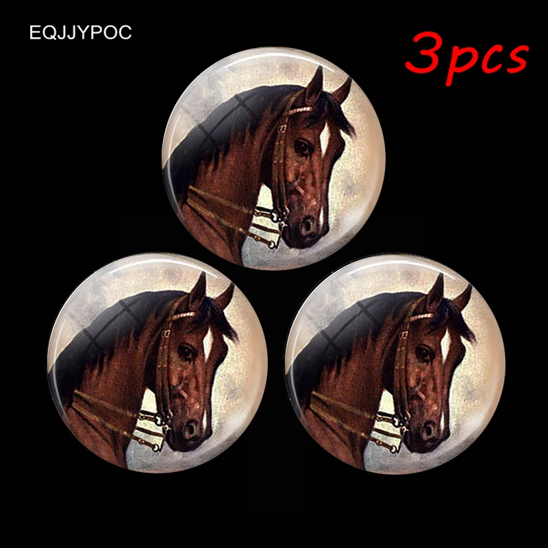 

Wildlife Horse Fridge Magnet Animal Lover Gift 30MM 3PCS Glass Cabochon Magnetic Refrigerator Stickers Note Holder Home Decor