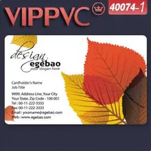 A40074-1 недорогие визитки белый пластиковый из пвх карты