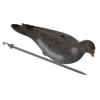 GUGULUZA 6 x Full Body Flocked Pigeon Decoy 12 inch Realistic Dove With Stick Pegs ► Photo 2/6