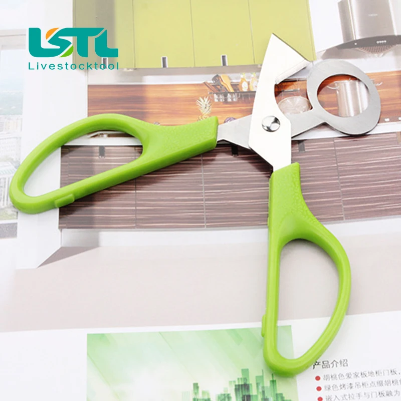 Pigeon Quail Egg scissor Bird Cutter Opener Kitchen Tool Clipper Cigar Cracker Bladed50 - Image 5