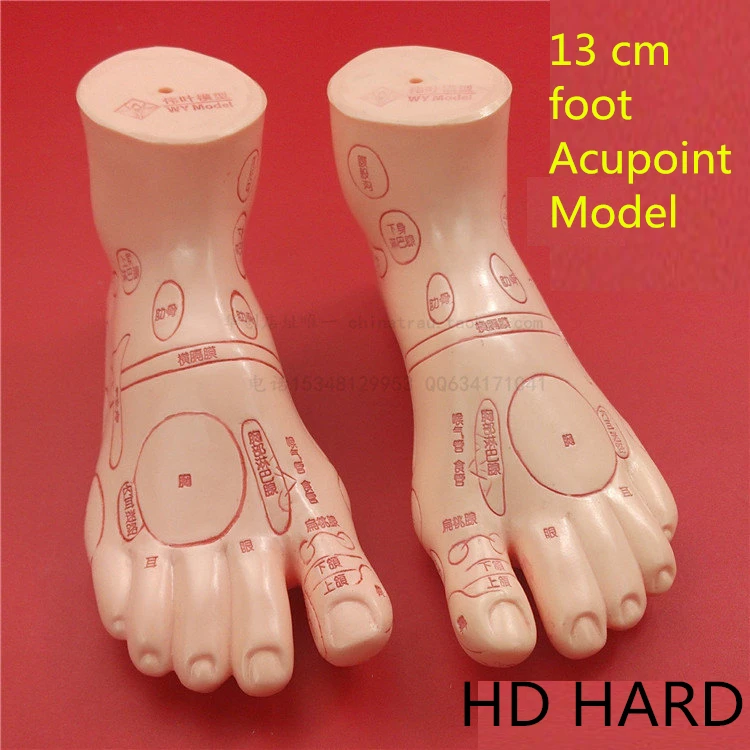 HDmedicalhard13cmFootacupuncturemodelsetfootacupunctureneedle