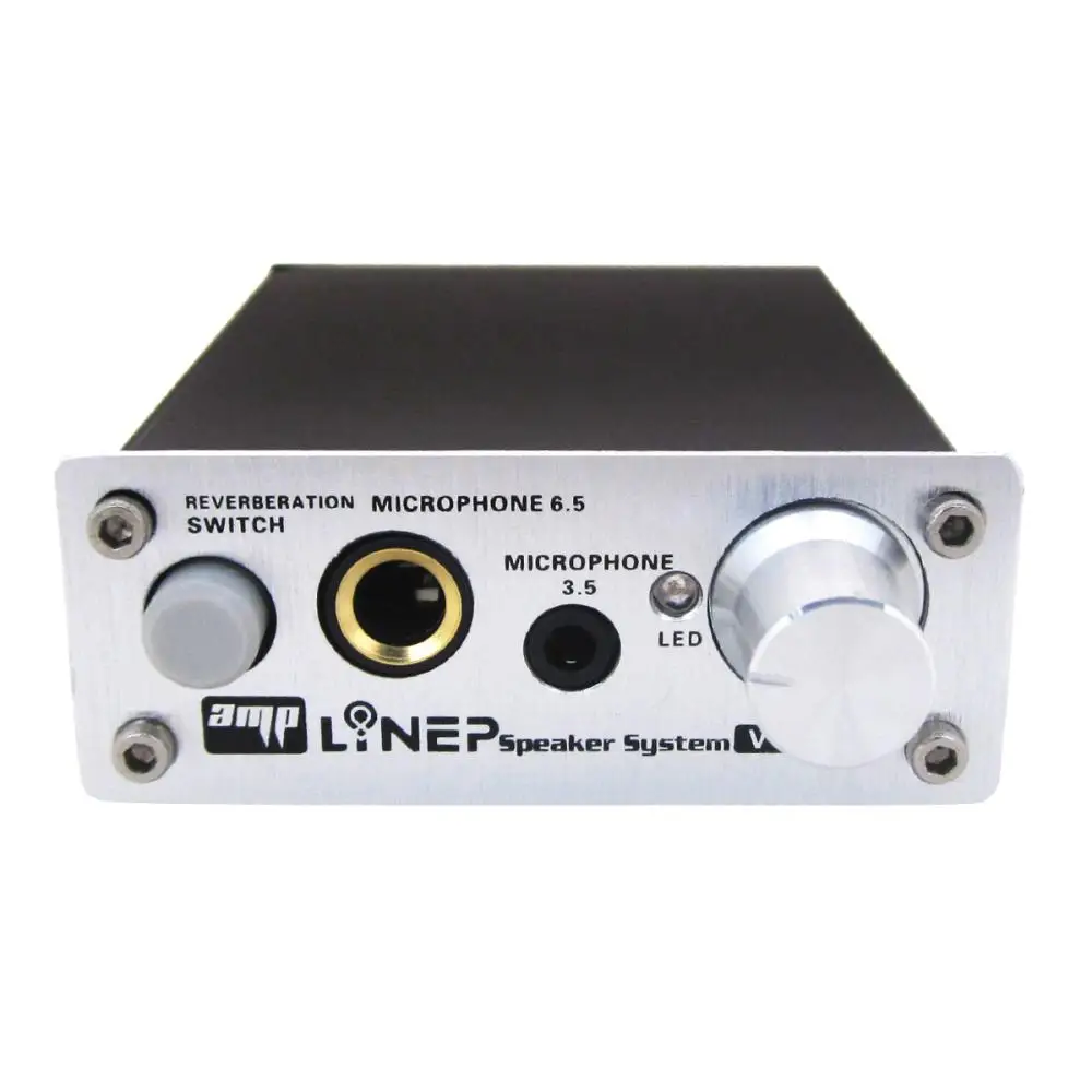 Portable Mini Professional Dual Microphone Amplifier Computer