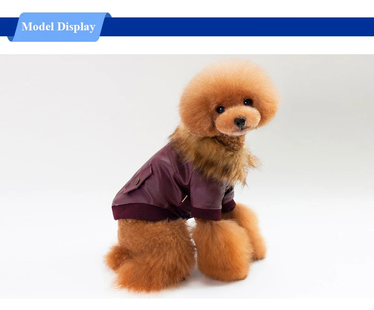 4403321729_1719217545