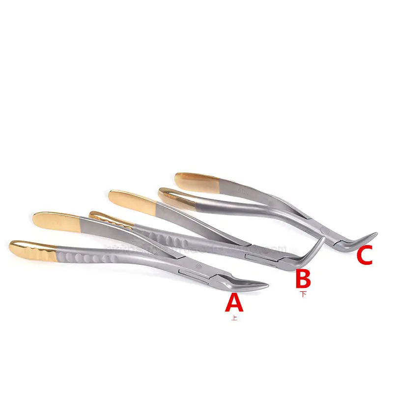 

Dental Root Fragment Minimally Invasive Tooth Extraction Forcep Tooth Pliers Dental Instrument Curved Maxillary Mandibular Teeth