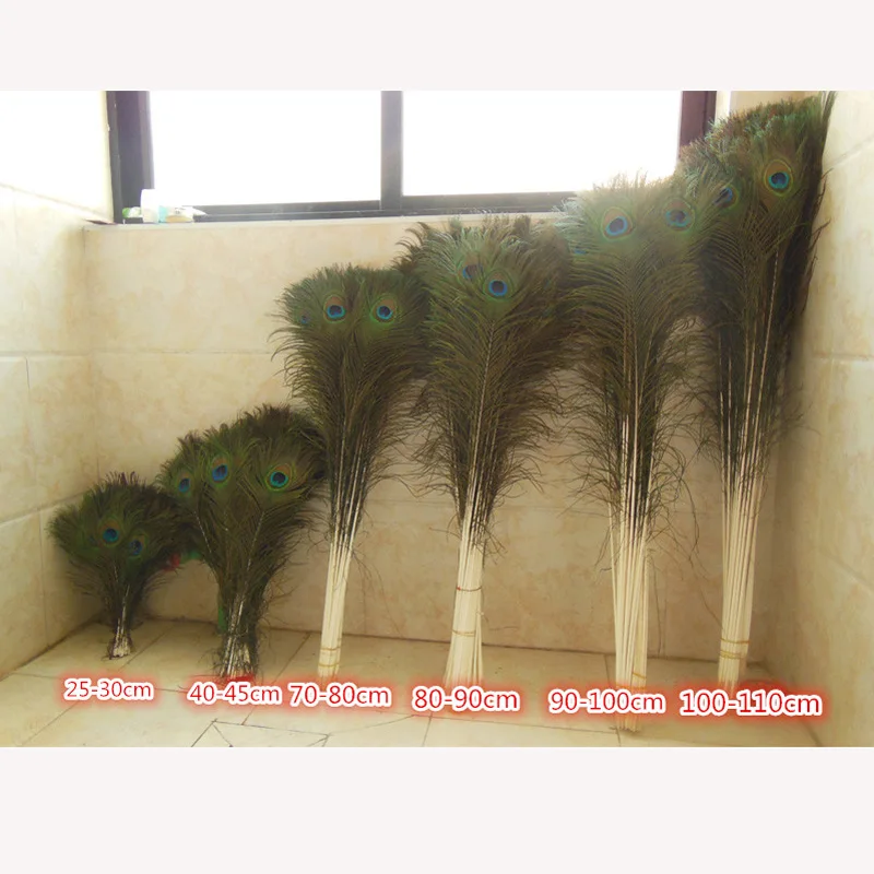 Beautiful Natural Color Peacock Feather Multiple Size Select 200