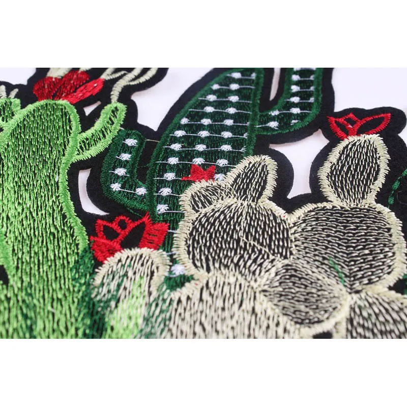 cactus patch (7)