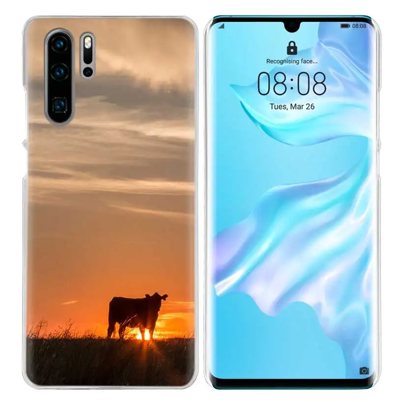 Чехол для huawei P20 P30 P Smart Nova 4 3i P10 P9 P8 mate 10 20 lite Pro Mini - Цвет: 10