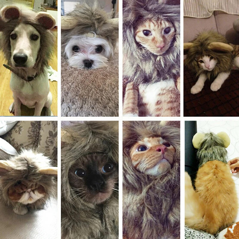 Hewan Peliharaan Anjing Kucing Topi Topi Lucu Singa Wig Topi Pesta