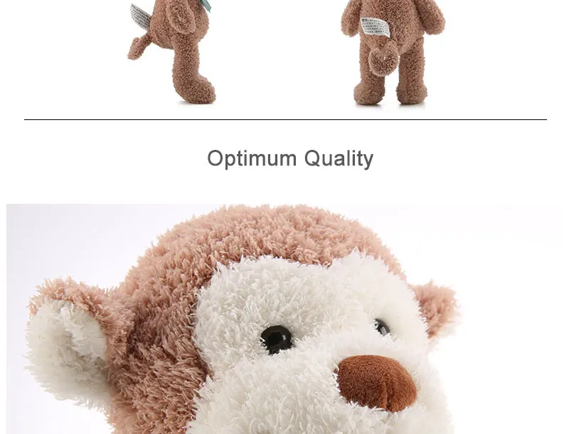 Monkey_04