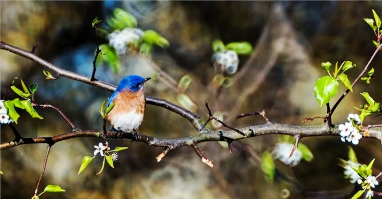 TB2_jtOcCKI.eBjy1zcXXXIOpXa_!!672942768