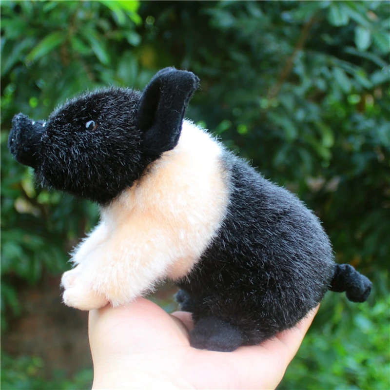 cute pig plush doll animals pig doll plush toy simulation animal wild boar dolls kids and adults gift 6.7inch 17cm DY50347 (4)
