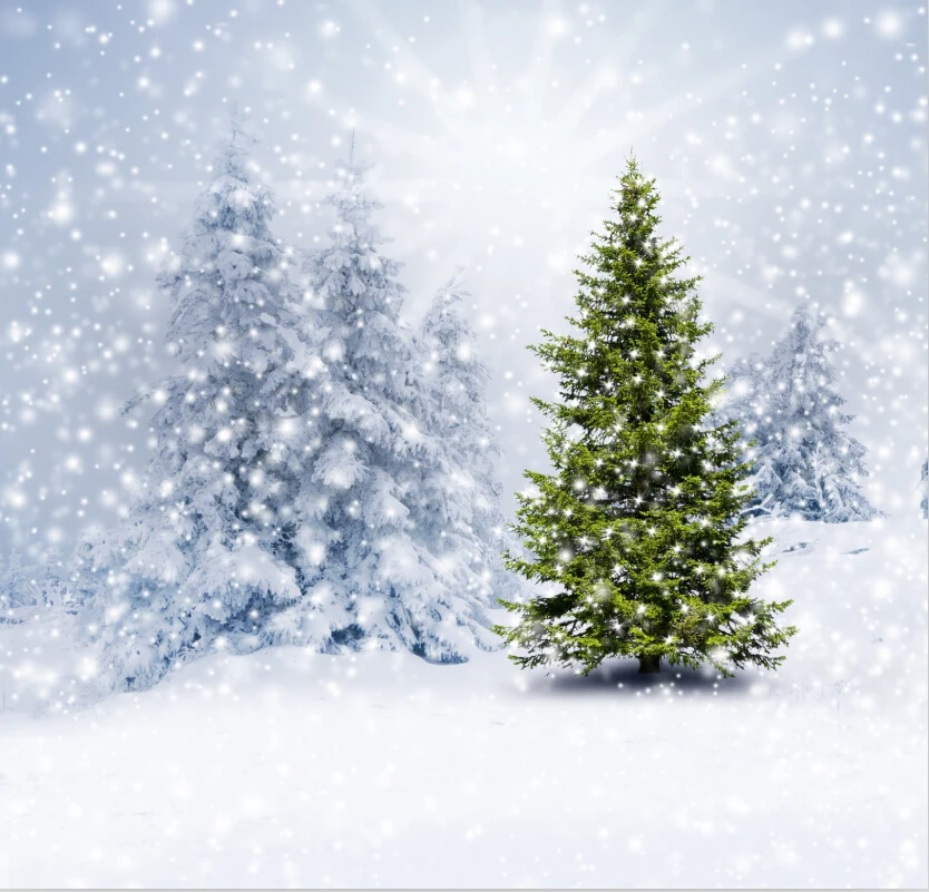 

8x8ft Vinyl Custom Photography Backdrops Prop Christmas Photography Background HUC-61020