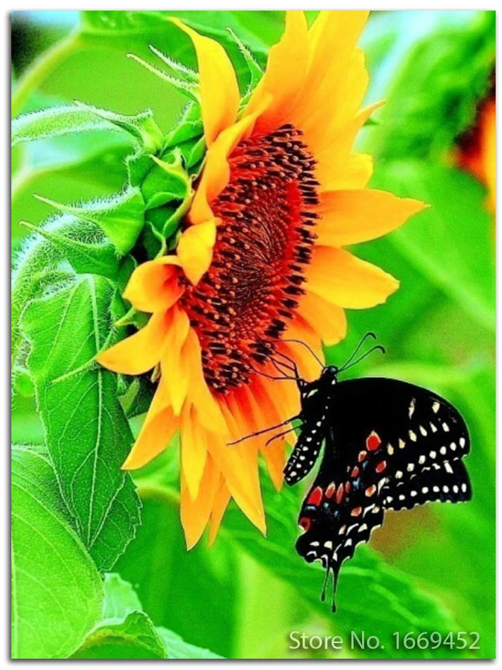 5d diamond embroidery flowers diamond mosaic sunflowers butterflies diy