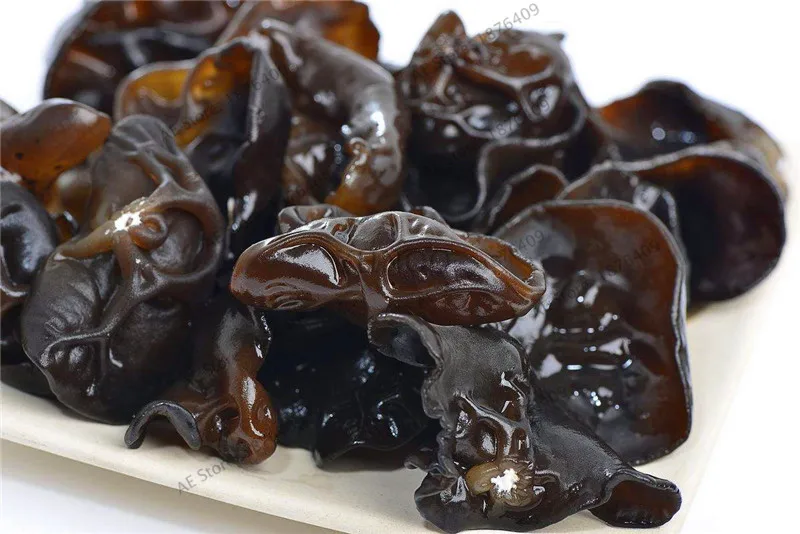 black chinese mushroom çåçæå°çµæ