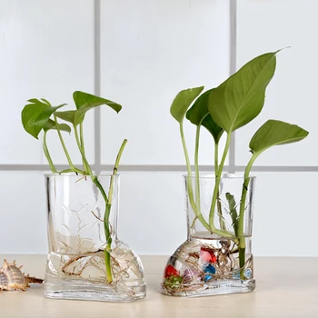 

Transparent glass trumpet vase hydroponic green radish plants flower hotel coffee table dining table ornaments