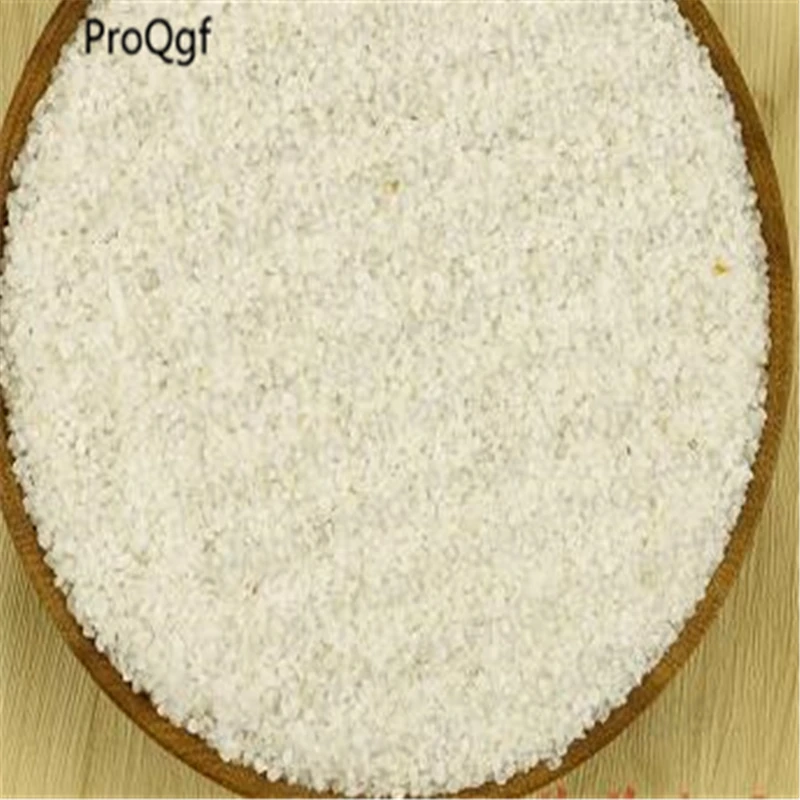 

300gram a set succulent white sandstone crystal Red pebble stone rainbow ceramic