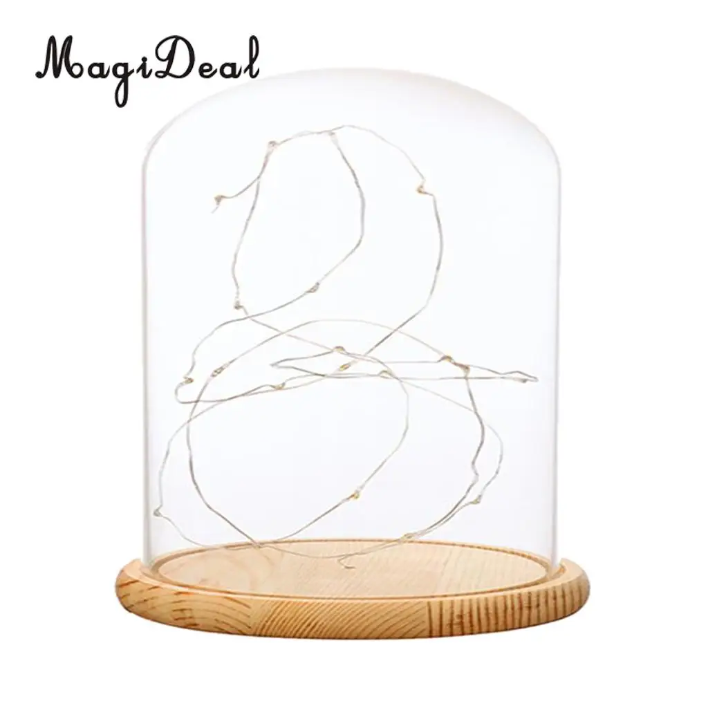 Glass Display Dome Cloche With Suspended LED Lights Tabletop Lamp Wedding Holiday Decor Crafts