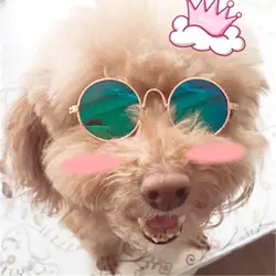Собака глаз носить pet Солнцезащитные очки щенок очки cat очки для фотосессий с рисунком собачки и котика аксессуары зоотовары