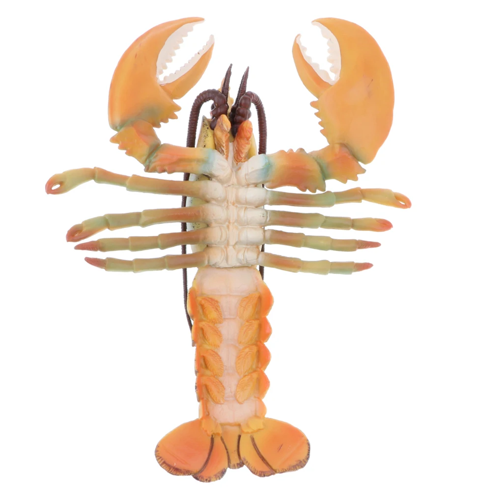 9 Inch Realistic Marine Animal Model Figurines, Plastic Lobster Action Figure Toy for Kids, Science Educational Toy, Collection
