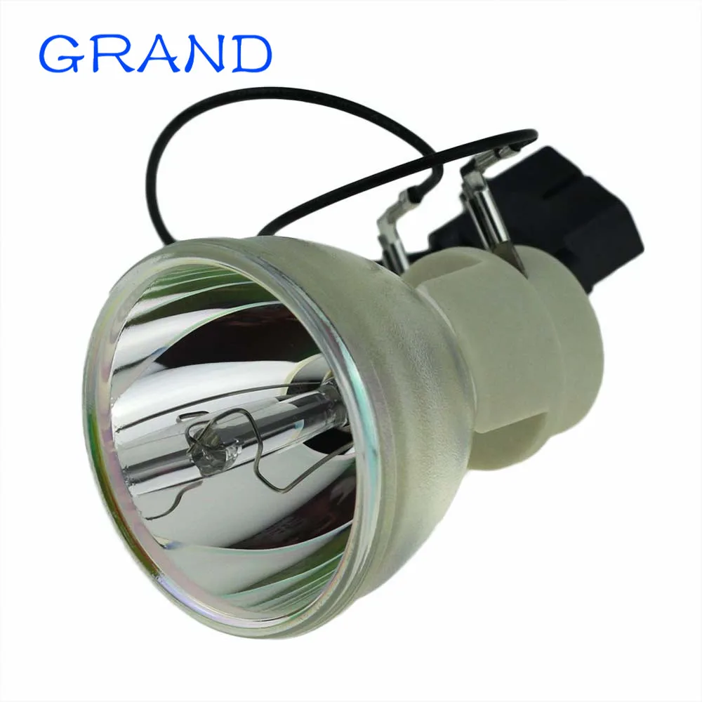 SP-LAMP-065-2