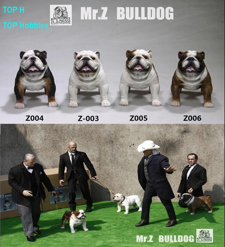 

Mr.Z Real Animal 1/6 BULLDOG Z003-Z006 British Bulldog Resin Statue for 12"DAM HT Collectible Action Figure Scene Accessories