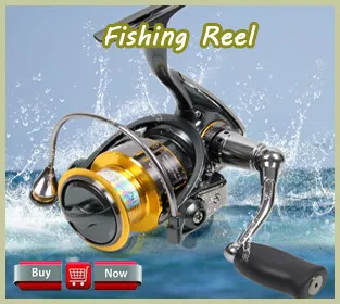 reel