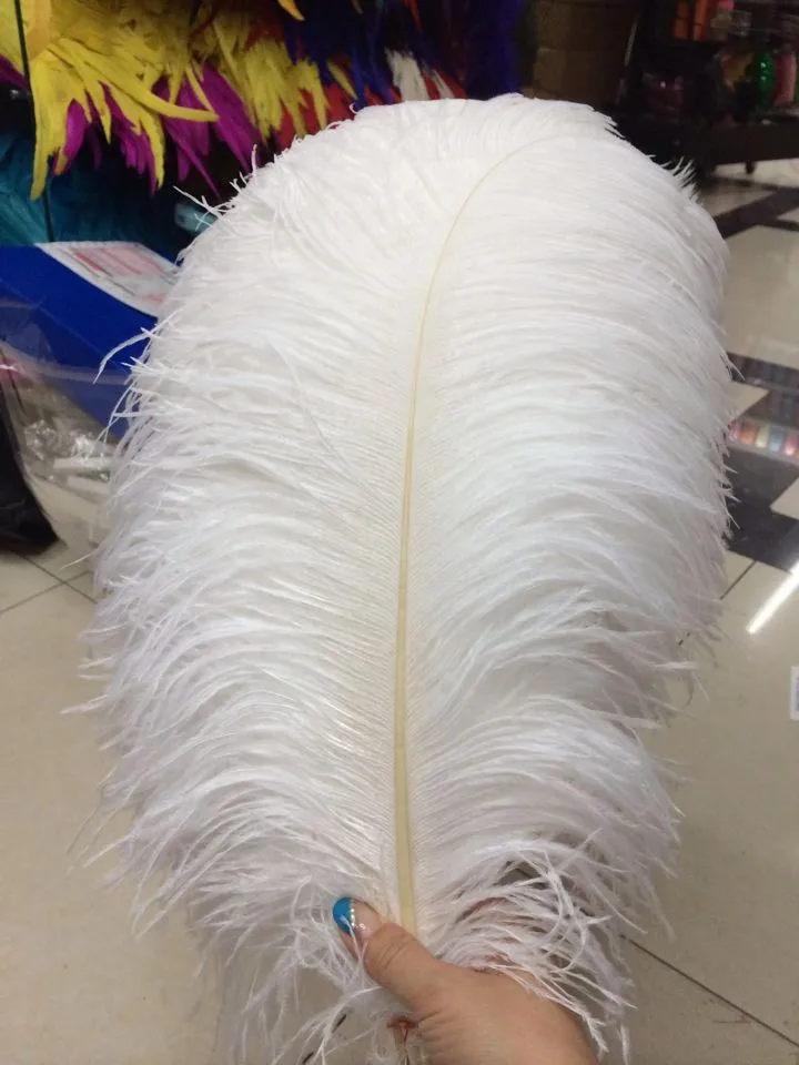 

Free shipping 10 PCS beautiful natural white ostrich feather 40-45 cm / 16 to18 inches