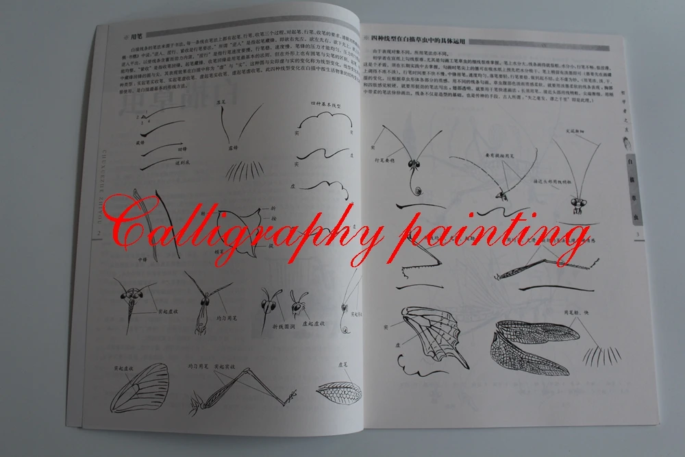 Butterfly Insect Dragonfly Chinese Painting Sketch Outline Reference Book Butterfly Insect Dragonfly Chinese Painting Sketch Outline Reference Book
