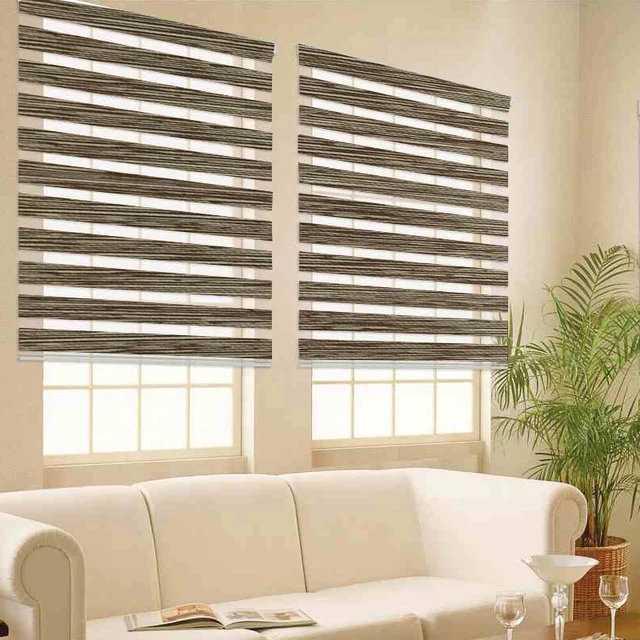 Free shipping Popular zebra blinds /roll up and down window shadesin