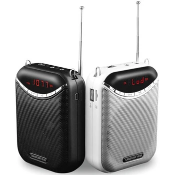 

2pcs/Lot Takstar E190M recording FM Multimedia digital amplifier With Headset mic support TF card U Disk MP3 play,LED display