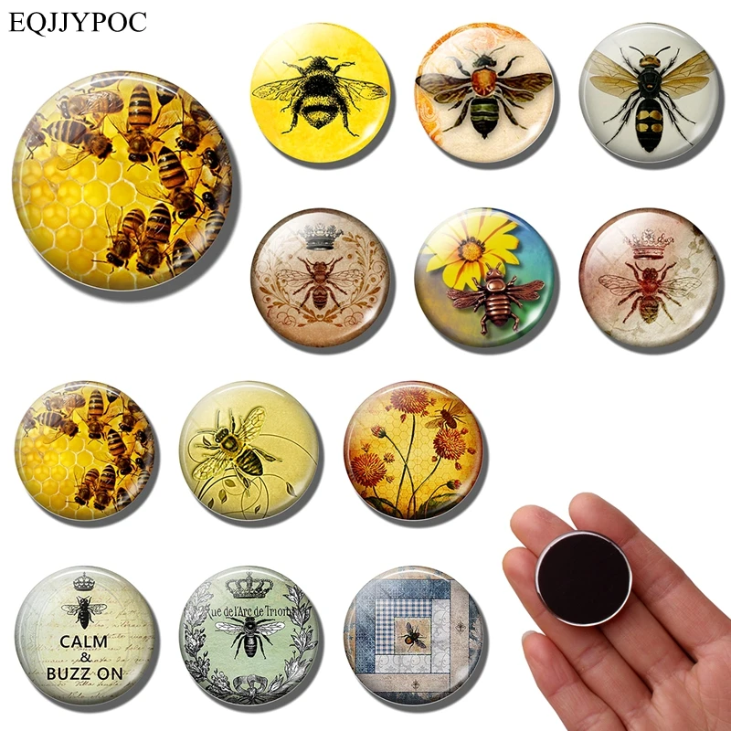 Bee fridge Honeybee Mosquito Insect Animal Glass 30MM