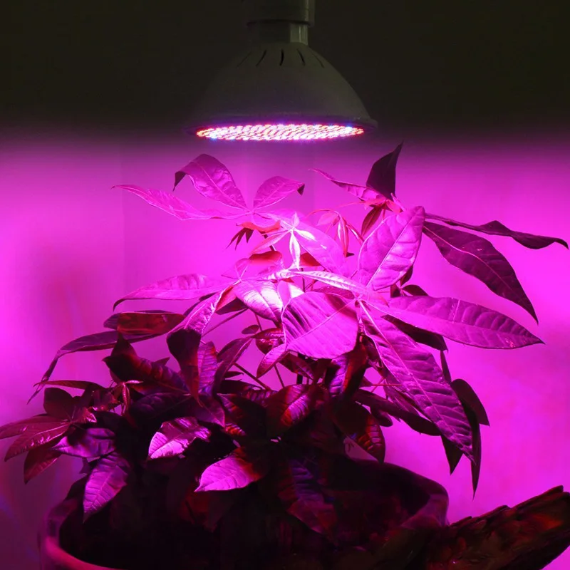 20 Вт 200 светодиодов, светильник для выращивания растений, фитолампа с зажимом, лампы растения для комнатных цветов, Выращивание растений в горшках, гидропоника, система теплицы