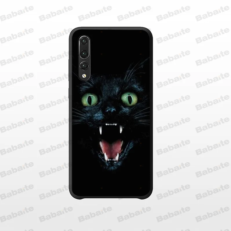 Black Cat Staring Eye