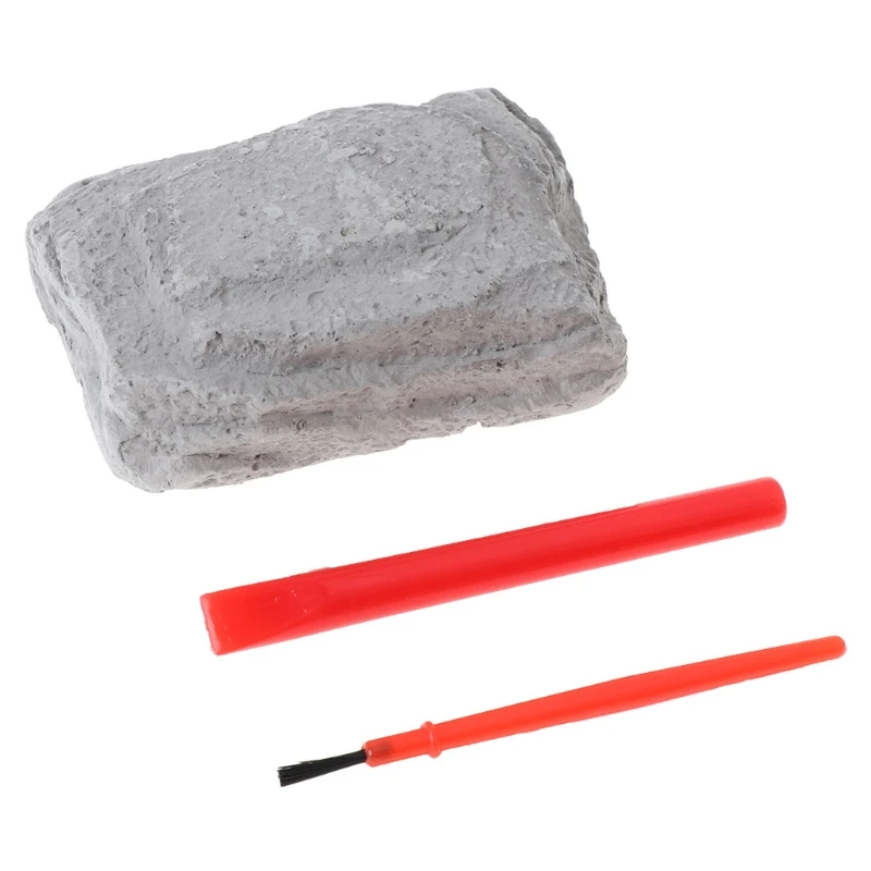 

Novelty Dinosaur Fossil Model Set Jurassic Archaeological Education Toy Kids Toy