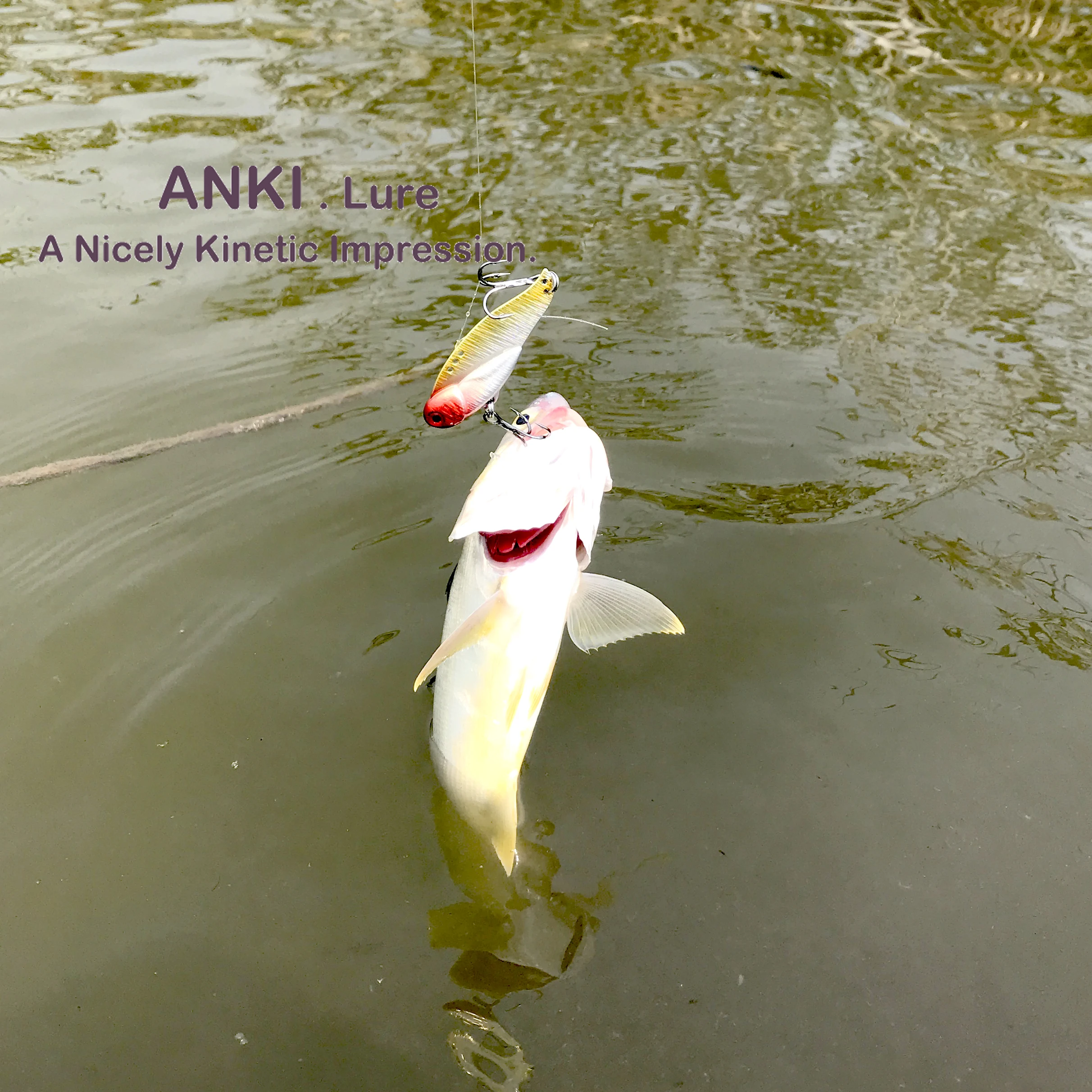 fish3