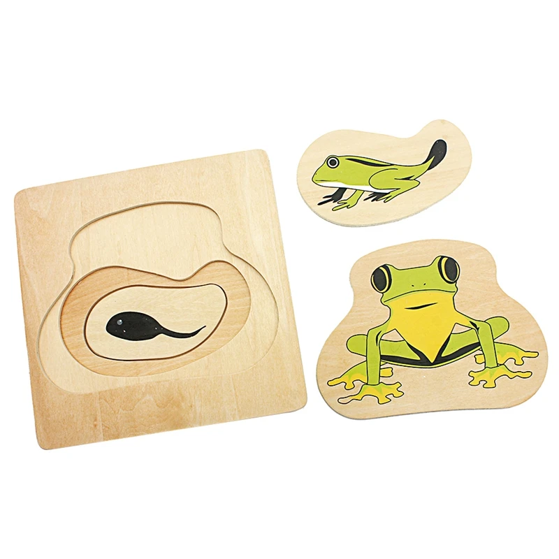  Infant Montessori Teaching Aids Toddler Life Cycle of Frog Puzzles Multi-layer Grow Up Puzzles Jigs - 32873674626