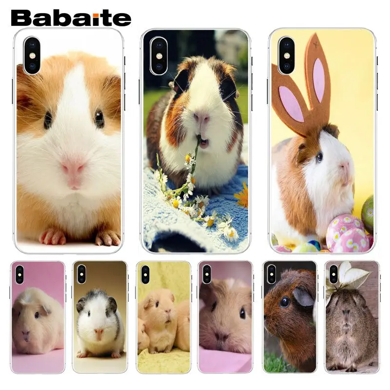 

Babaite squirrel Guinea Pig Exquisite Phone Case For iphone 5 5s 5c SE And 6 6s 7 7plus 8 8plus Phone Case