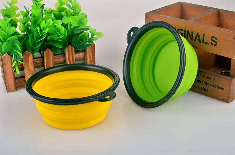 Dog bowl (4)
