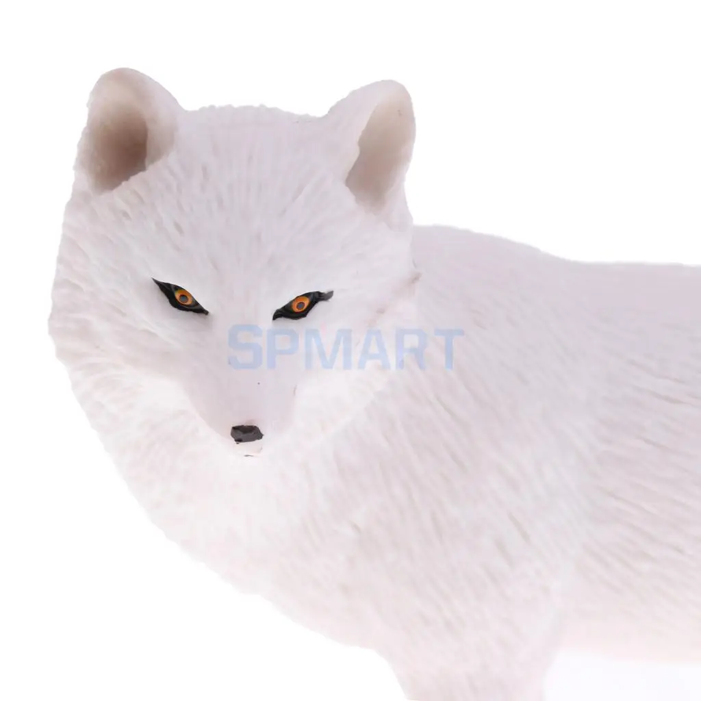 Simulation Wildlife Farm Pet Animal Model Action Figures Figurine Kid Educational Science Nature Toy Home Collectible Decoration