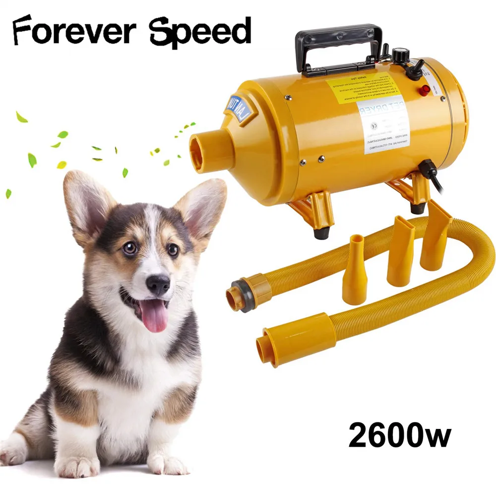 71bMIeNNVeL._SL1500_
